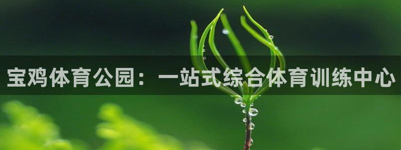 vsport体育官方正版app集团官网首页网址