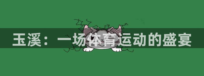 vsport体育官方正版app科技：玉溪：一场体育运动的盛宴