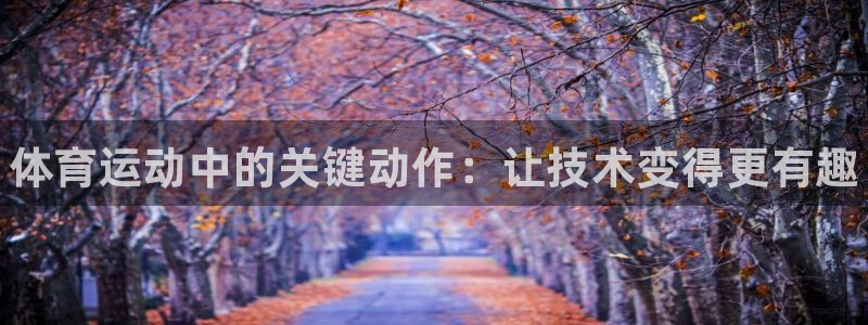 vsport体育官网下载平台是正规平台吗安全吗：体育运动中的