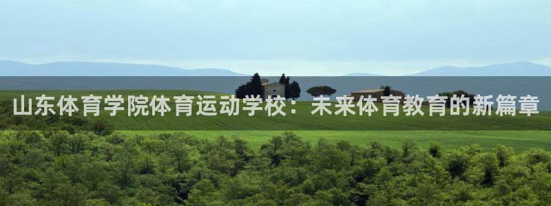 vsport体育官网下载平台APP