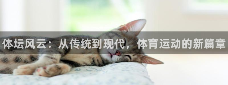 vsport体育官网下载招商：体坛风云：从传统到现代，体育运