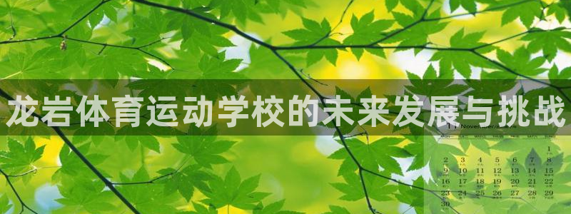 vsport体育官网下载平台是正规平台吗知乎：龙岩体