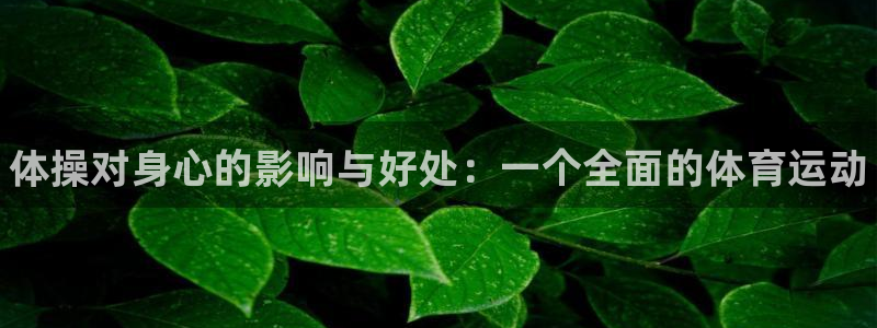vsport体育官方正版app娱乐平台：体操对身心的