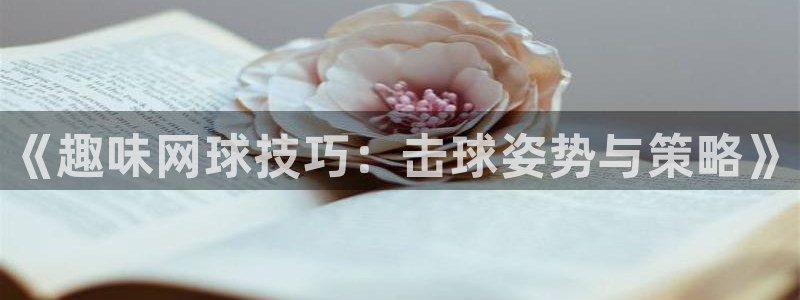 vsport体育官方正版app娱乐是那个系列的台子：