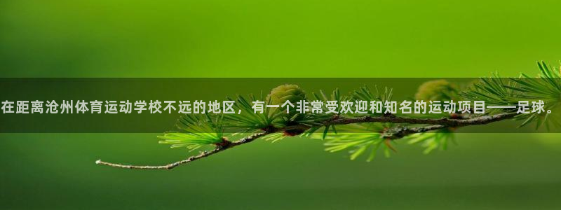 vsport体育官网下载联系电话：在距离沧州体育运动学校不远