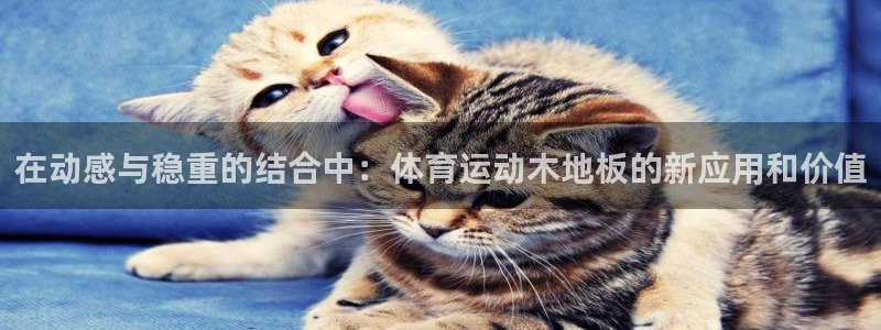 vsport体育官方正版app娱乐首页官网下载：在动感与稳重