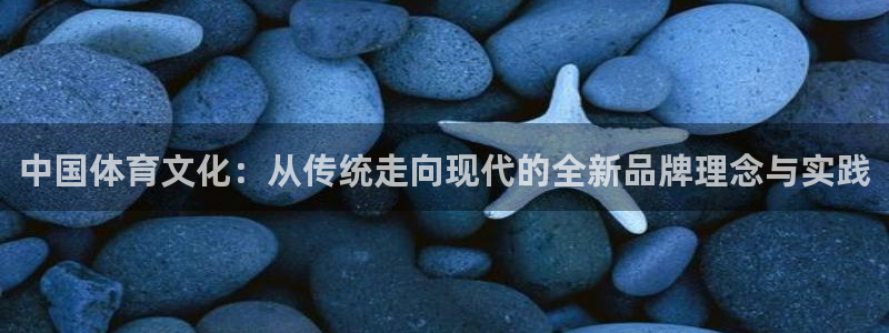 vsport体育官网下载平台假的吗是真的吗吗：中国体