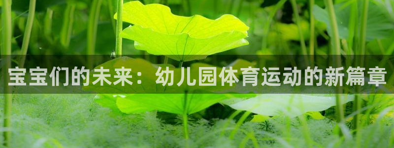 vsport体育官网下载招商电话：宝宝们的未来：幼儿园体育运