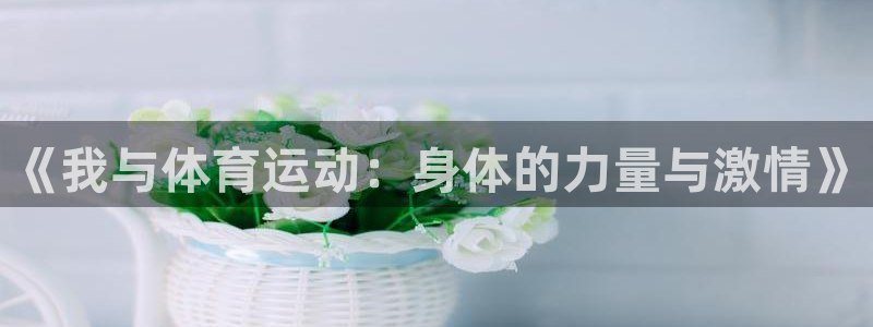 vsport体育官方正版app新能源：《我与体育运动