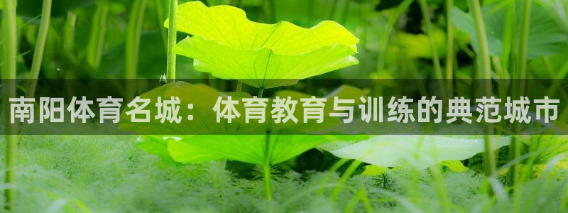 vsport体育官网下载平台注册要钱吗安全吗：南阳体