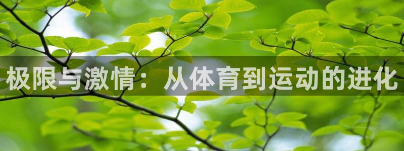 vsport体育官网下载招商电话号码查询：极限与激情：从体育