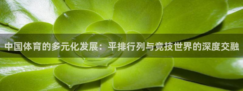 vsport体育官方正版app五金厂：中国体育的多元