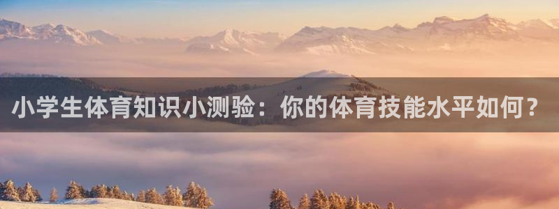 vsport体育官网下载平台是正规平台吗安全吗：小学生体育知