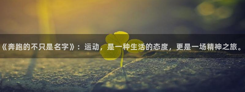 vsport体育官网下载平台注册要钱吗安全吗：《奔跑