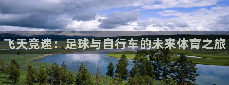 vsport体育官方正版app娱乐首页网站大全