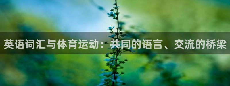 vsport体育官网下载招商电话是多少号码：英语词汇与体育运