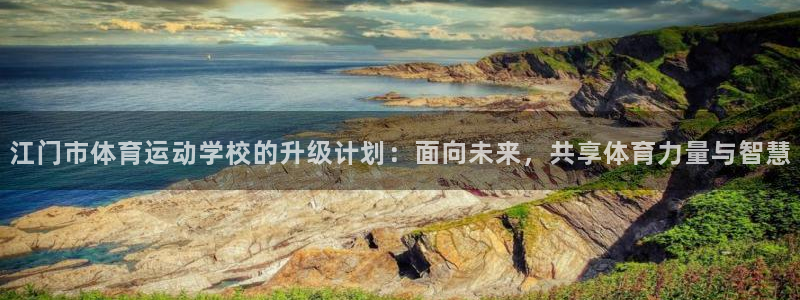 vsport体育官方正版app集团logo