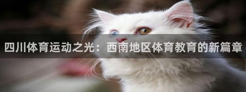 vsport体育官方集团官网：四川体育运动之光：西南地区体育