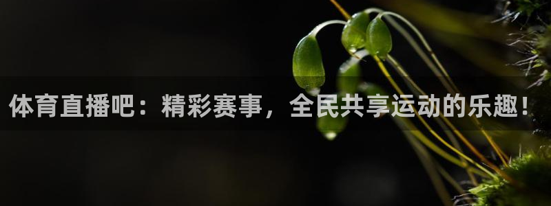 so米体育在线直播