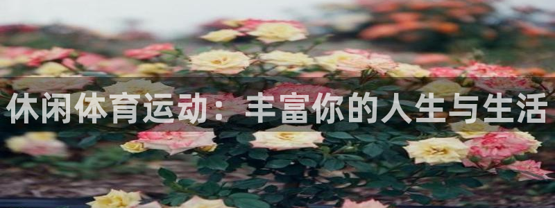 vsport体育官方正版app集团官网首页网址：休闲体育运动