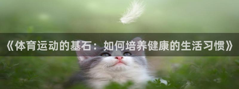 vsport体育官方正版app集团