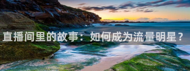 搜米so米体育直播nba赛事：直播间里的故事：如何成为流量明星？