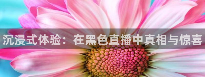 so米体育nba直播吧：沉浸式体验：在黑色直播中真相与惊喜