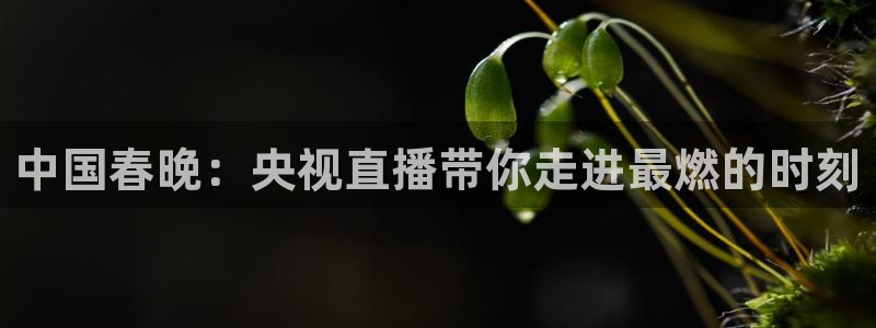 体育直播so米：中国春晚：央视直播带你走进最燃的时刻